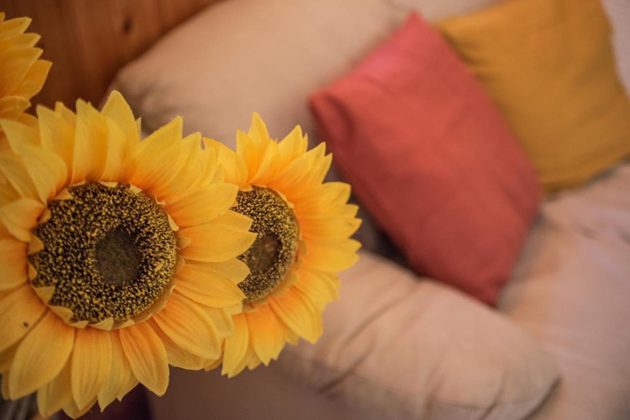 Hotel La Pieja Opi Zewnętrze zdjęcie